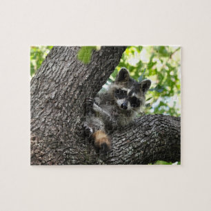 Raccoon - puzzel legpuzzel