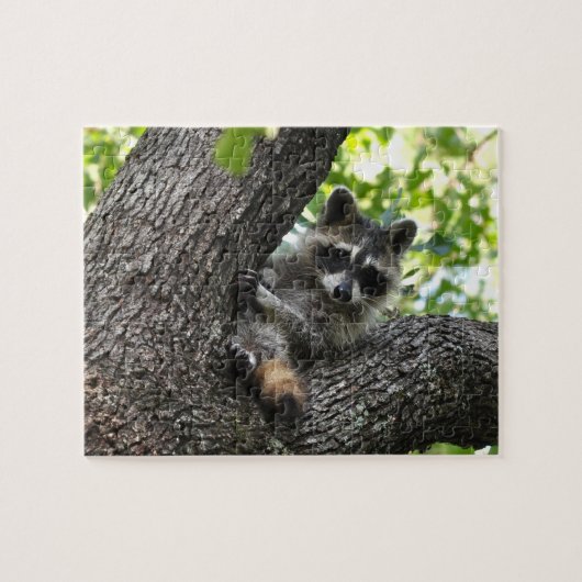 Raccoon - puzzel legpuzzel (Horizontaal)