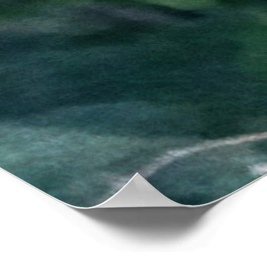 Raccoon Raiding the Bird Feeder Poster (Hoek)