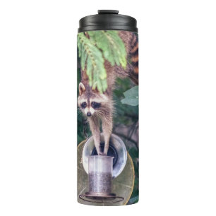 Raccoon Raiding the Bird Feeder Thermosbeker