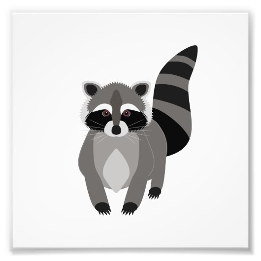 Raccoon Rascal Foto Afdruk (Voorkant)