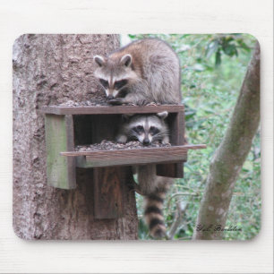 Raccoon Rascals Mousepad Muismat