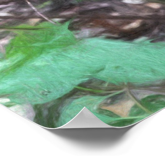 Raccoon Release Poster (Hoek)