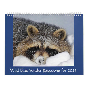 Raccoon Rescue and Release at Wild Blue Yonder 202 Kalender