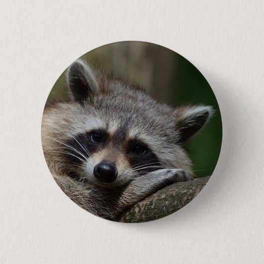Raccoon Ronde Button 5,7 Cm (Voorkant)