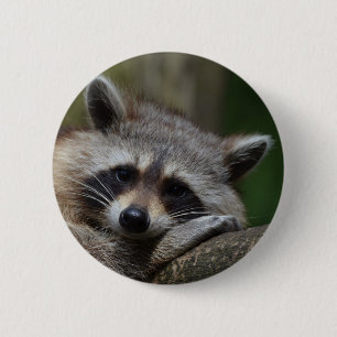 Raccoon Ronde Button 5,7 Cm