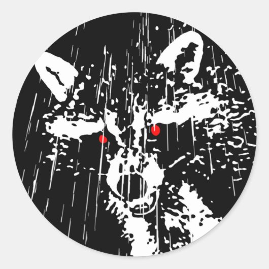 Raccoon Ronde Sticker (Voorkant)