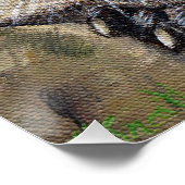 Raccoon schilderen perfect poster (Hoek)