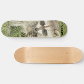Raccoon Skateboard (Horizontaal)