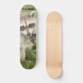 Raccoon Skateboard (Voorkant)