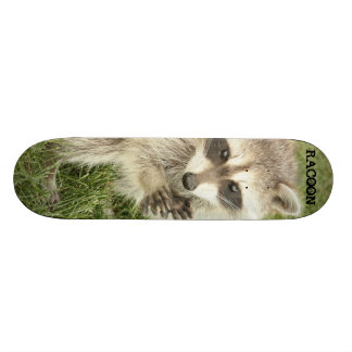 Raccoon Skateboard