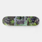 Raccoon Skateboard (Horizontaal)
