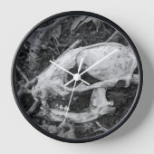 Raccoon Skull Zwart-wit fotografie (Voorkant)