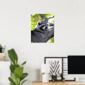 Raccoon Sluiten Poster (Thuiskantoor)