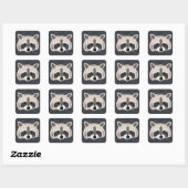 Raccoon stickers (Vel)