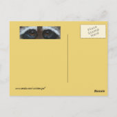 Raccoon sur carte postale plaid (Dos)