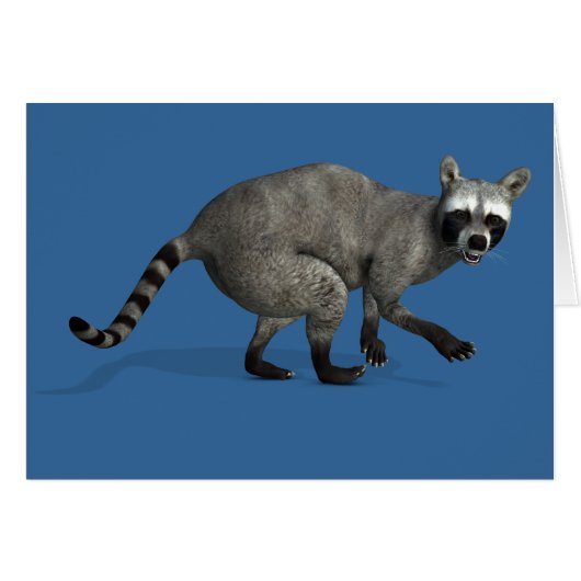 Raccoon surpris (Devant horizontal)