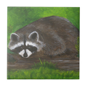 Raccoon Tegeltje