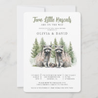 Raccoon Twins Baby shower