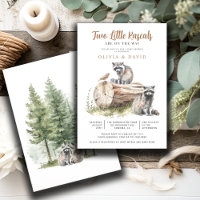 Raccoon Twins Baby shower