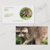 Raccoon Visitekaartje (Voorkant / Achterkant)