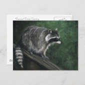 "Raccoon" Wildlife art Briefkaarten (Voorkant / Achterkant)