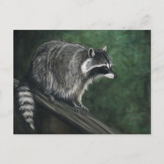 "Raccoon" Wildlife art Briefkaarten (Voorkant)
