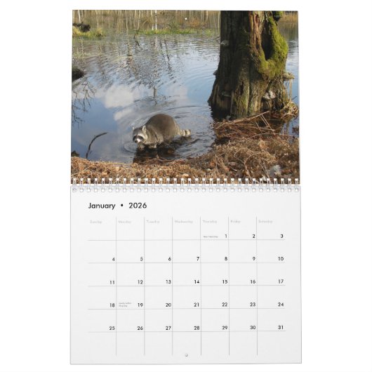 Raccoons-agenda Kalender (Jan 2026)