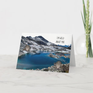 Raccoons dans la carte d'anniversaire sauvage