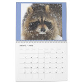 Raccoons de Yonder Bleu sauvage du Calendrier 2021 (Jan 2026)