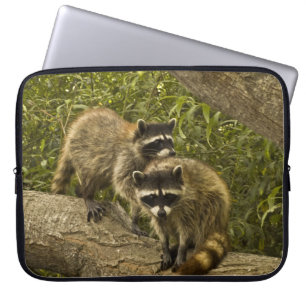 Raccoons Laptop Sleeve