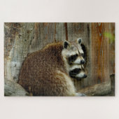 raccoons puzzle (Horizontal)