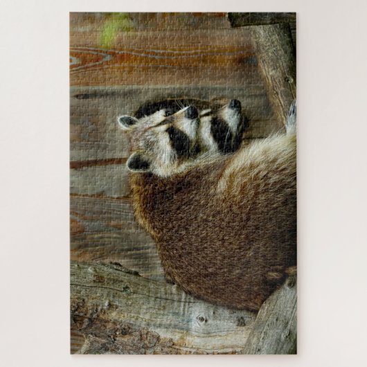 raccoons puzzle (Vertical)