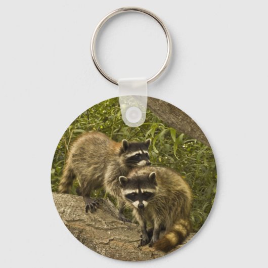Raccoons Sleutelhanger (Voorkant)