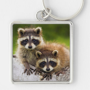 Raccoons Sleutelhanger