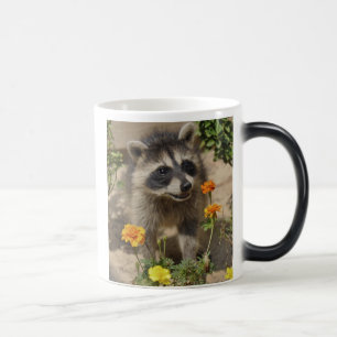 Raccooon - tasse Morphing