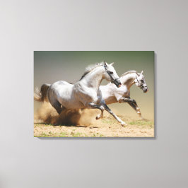Race de windpaarden canvas afdruk