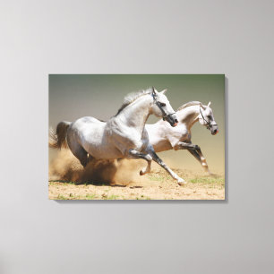 Race de windpaarden canvas afdruk