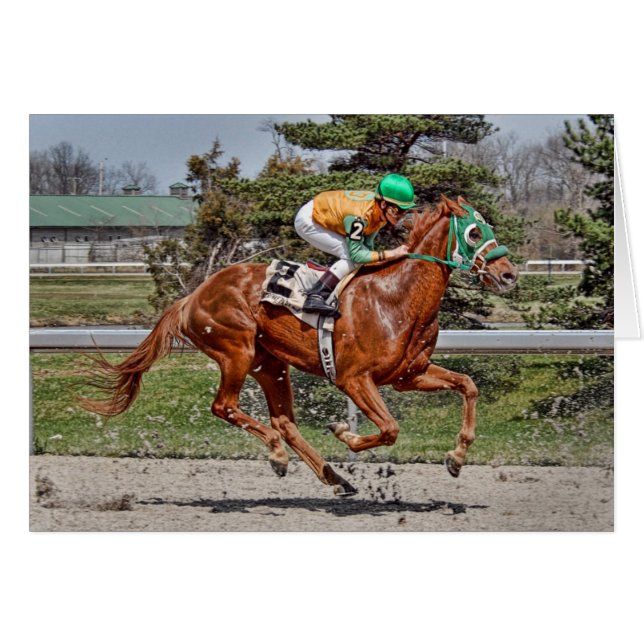 Race Horse #2 (Voorkant Horizontaal)