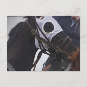 Race Horse Briefkaart