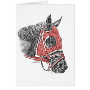 Race Horse Portrait Silks
