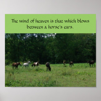 Race Horse Rescue Support Poster