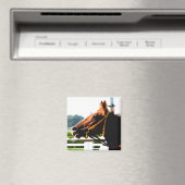 Race Paard magneet (Insitu (Vaatwasser))