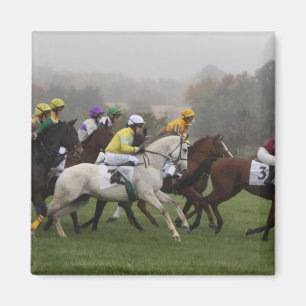 Race Paard Veld Vierkante Magnet Magneet