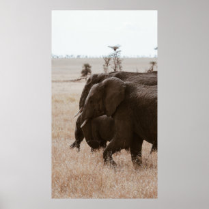 RACE VAN ELEPHANTS POSTER