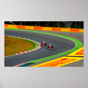 Racecars Poster