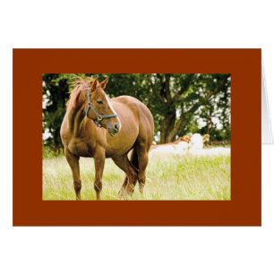 Racehorse in Field Card