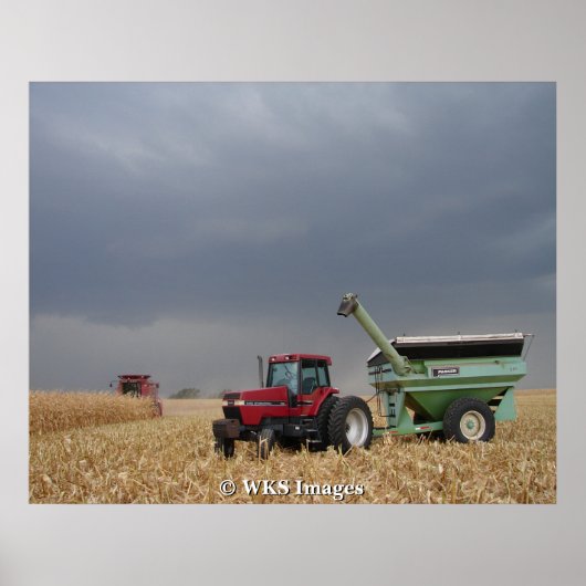 Racen van het Storm Poster (Voorkant)