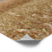 Racen van het Storm Poster (Hoek)