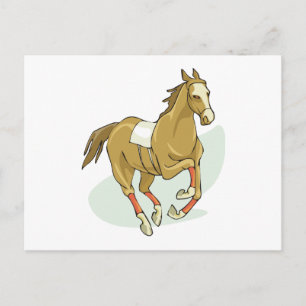 Racepaard Silks Horse Runps Gallps Trots Races Briefkaart